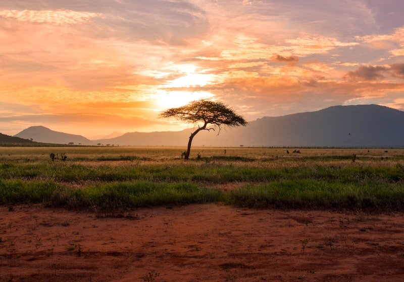 VIP Desert Safari – Google PPC